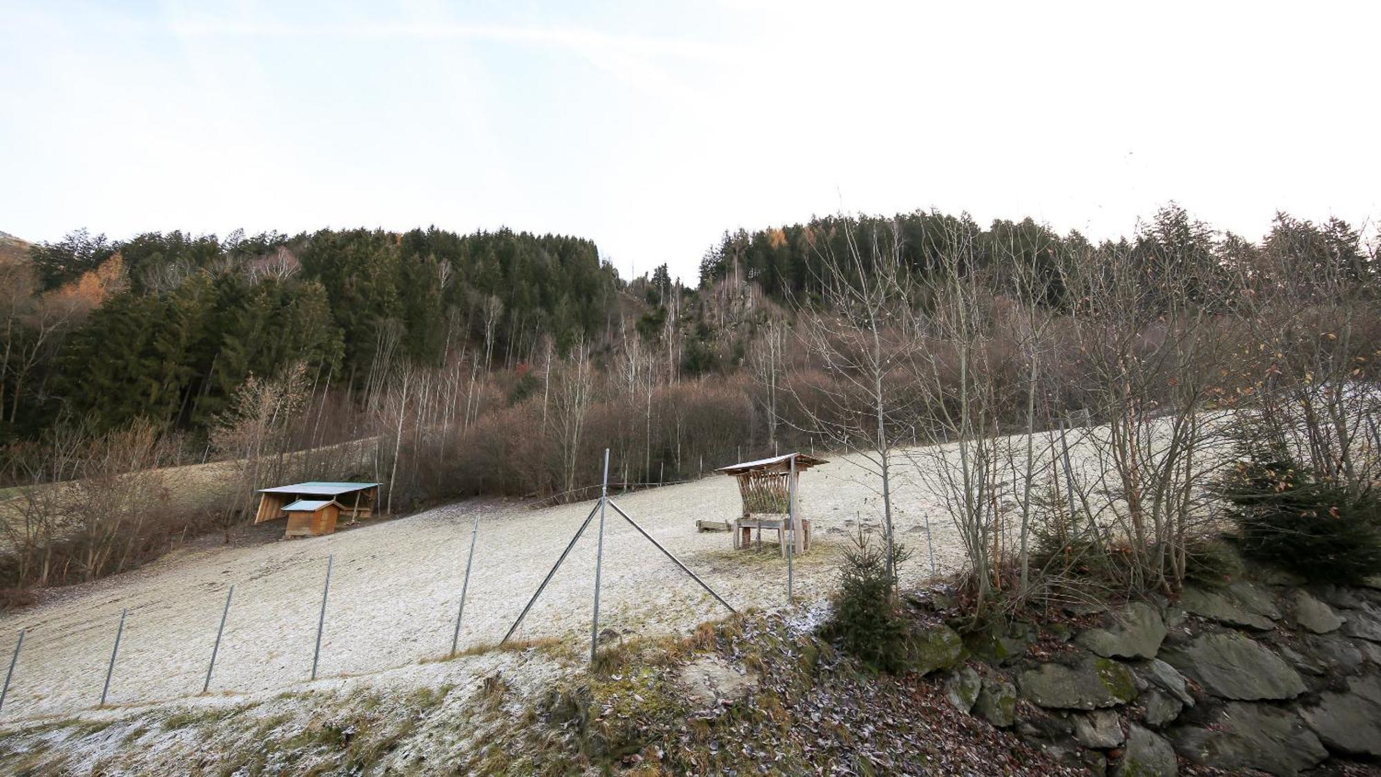 Ferienwohnung Hochfeldhof Zell am Ziller Zimmer foto